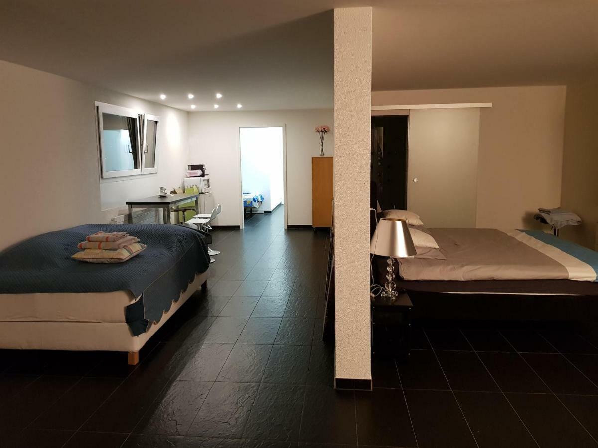 Nice Apartment In Horgen Near Lake And Pool Exterior foto