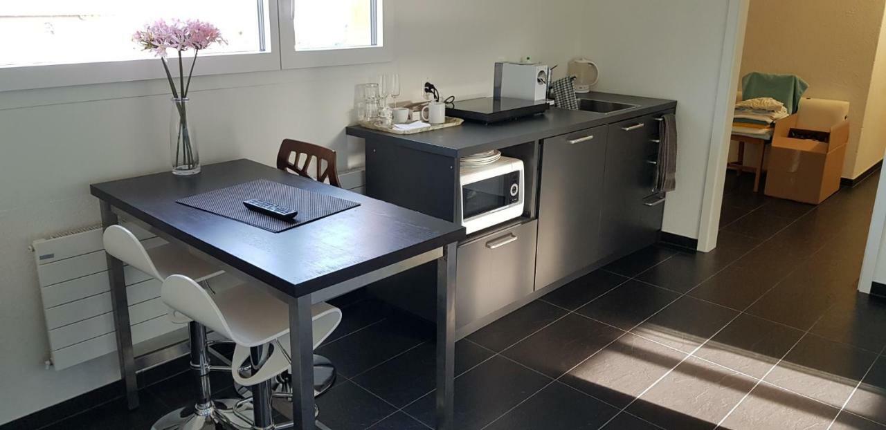Nice Apartment In Horgen Near Lake And Pool Exterior foto